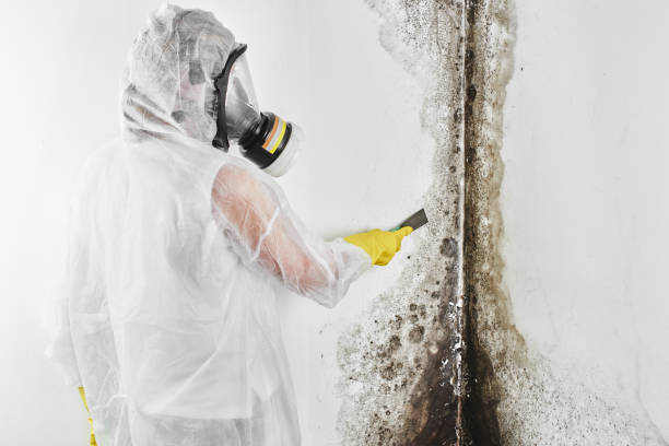 Best Biohazard Mold Removal  in , SD